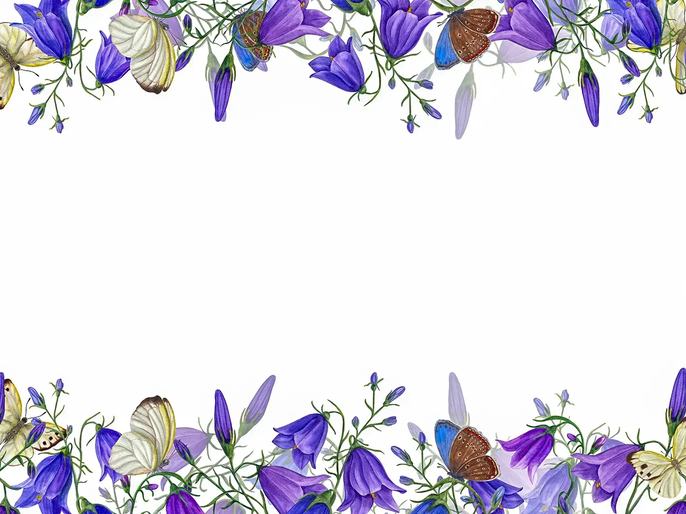 About Seniors Helper