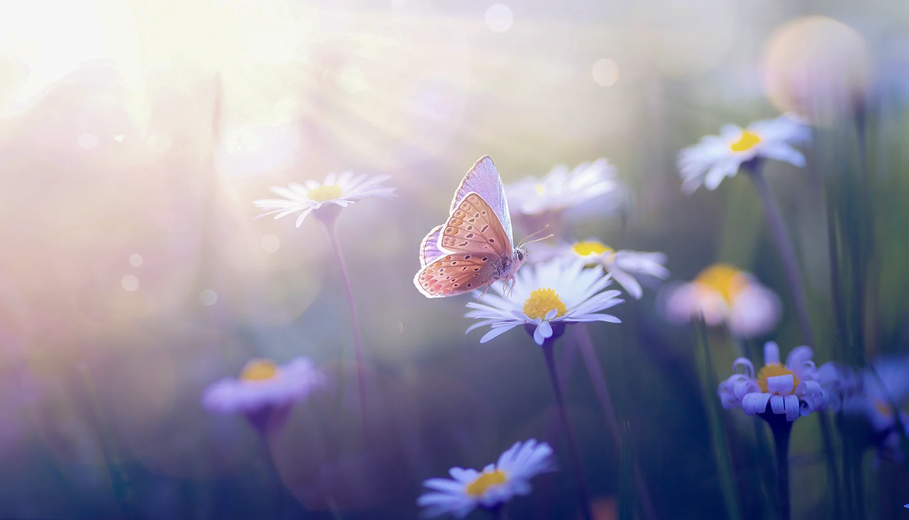 Contact Us Background